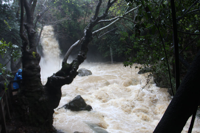 IMG_3914-가이사랴-빌립보-폭포.jpg