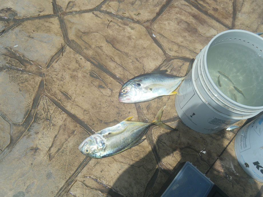 2012_yucatan_kc (1).jpg