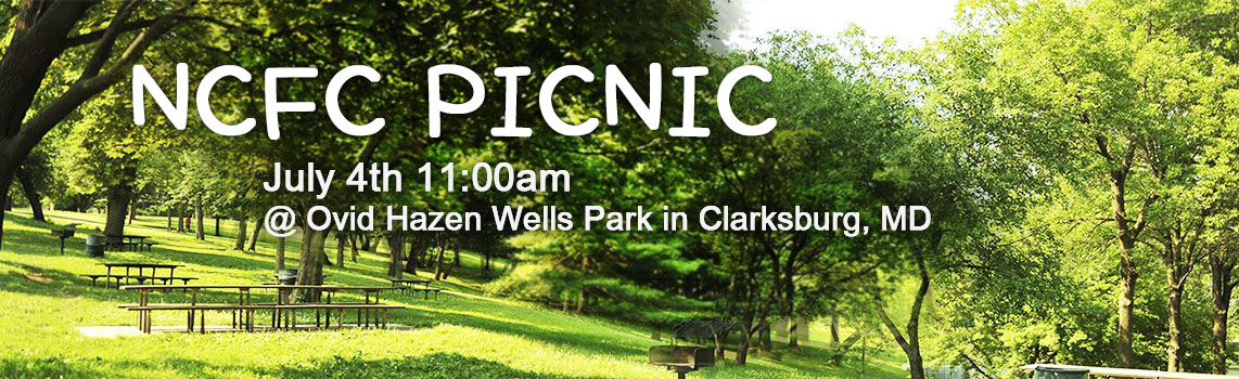 16picnic.jpg