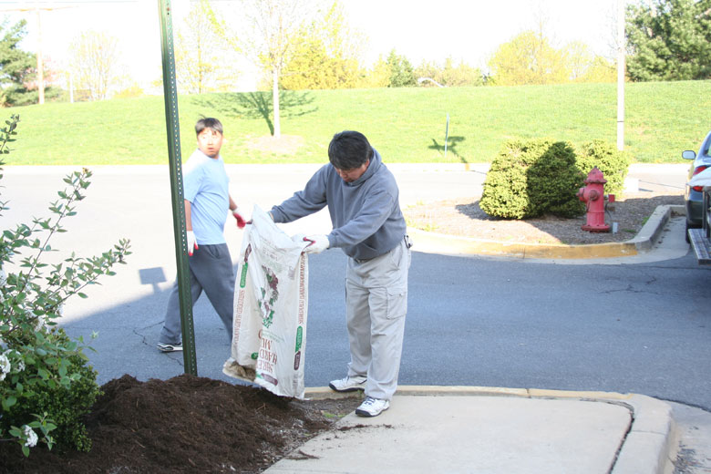 041010-mulch (22).jpg
