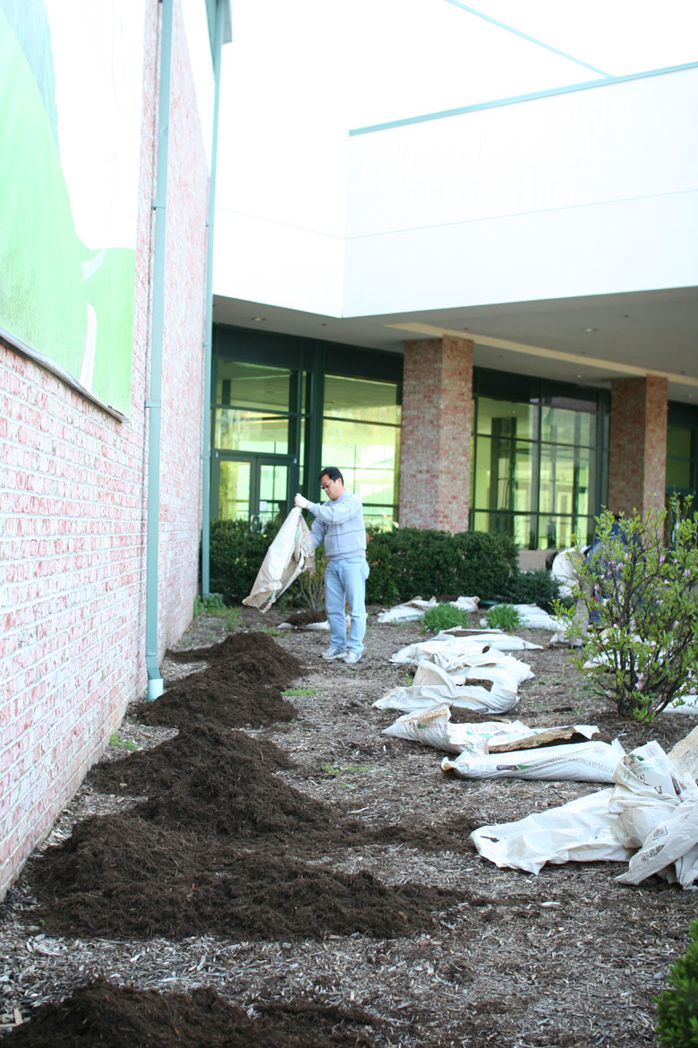 041010-mulch (8).jpg