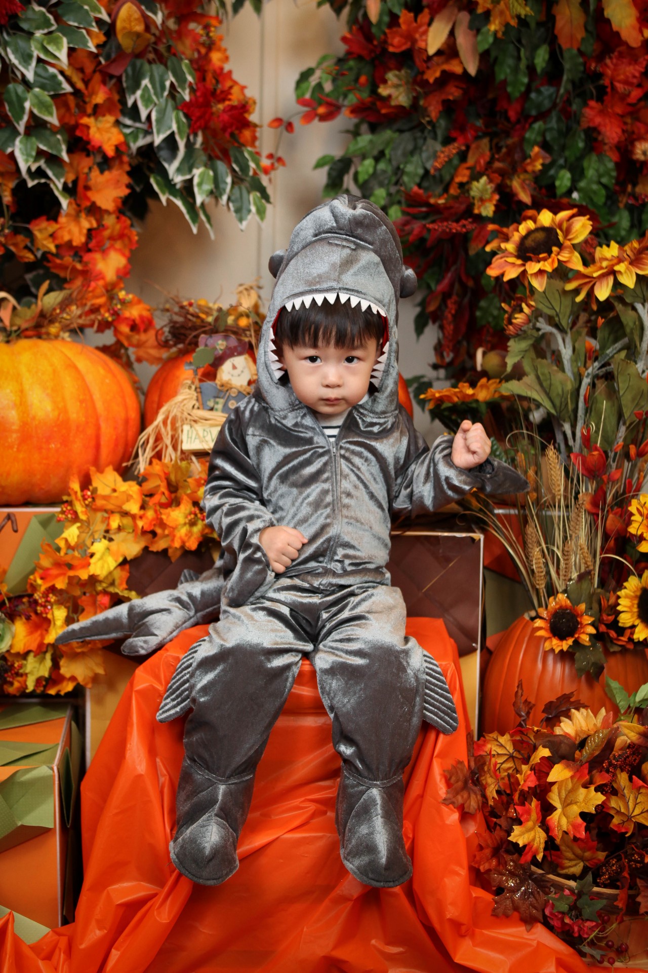 IMG_1496 (Custom).jpg