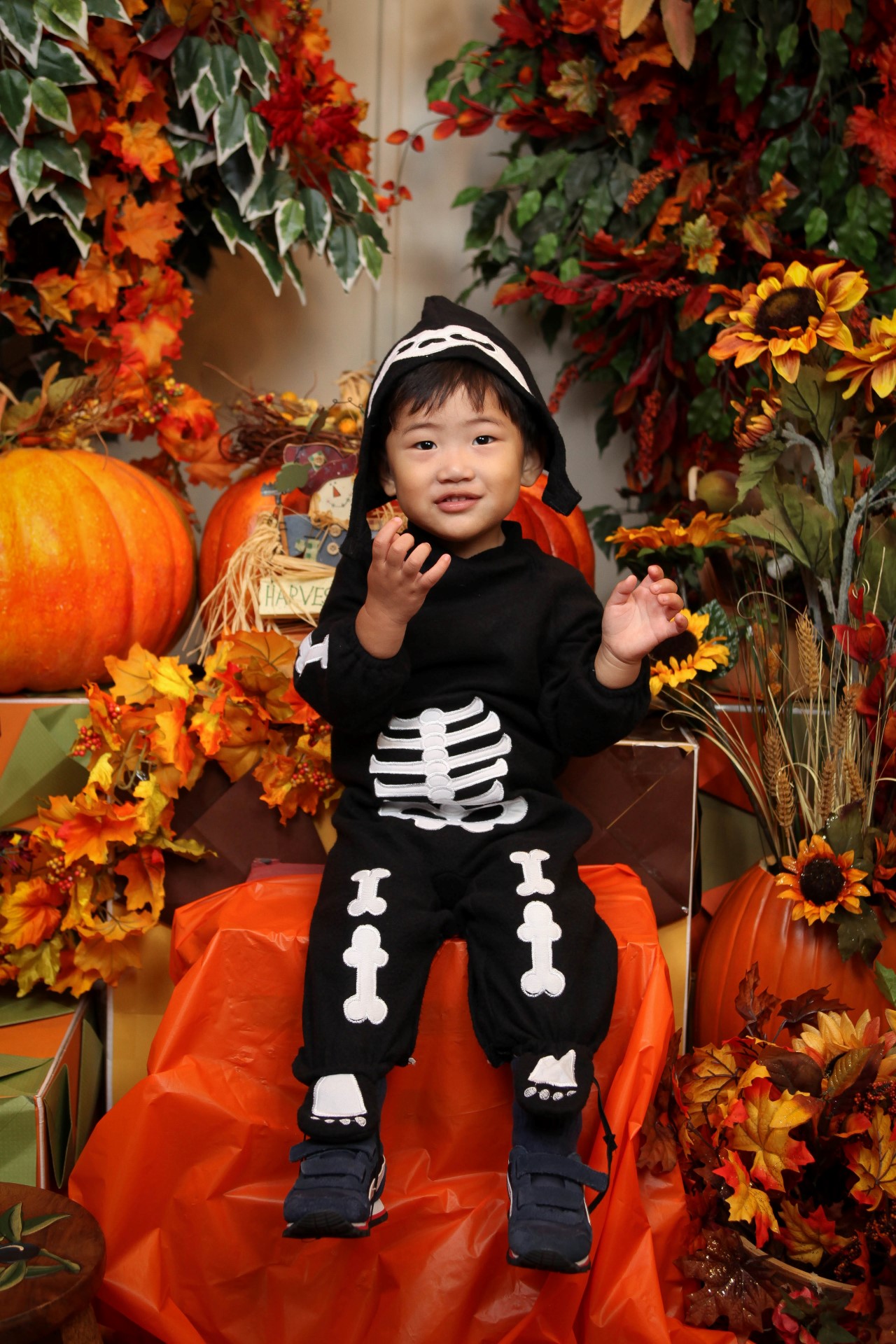 IMG_1520 (Custom).jpg