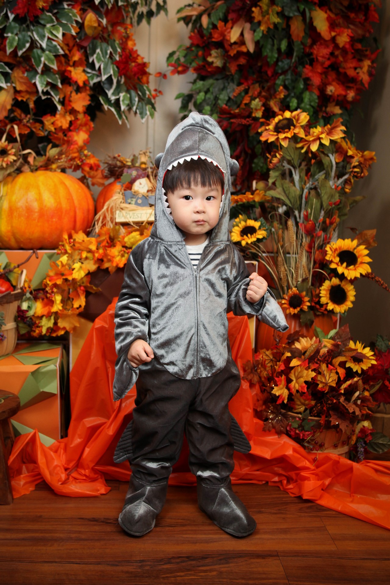 IMG_1502 (Custom).jpg