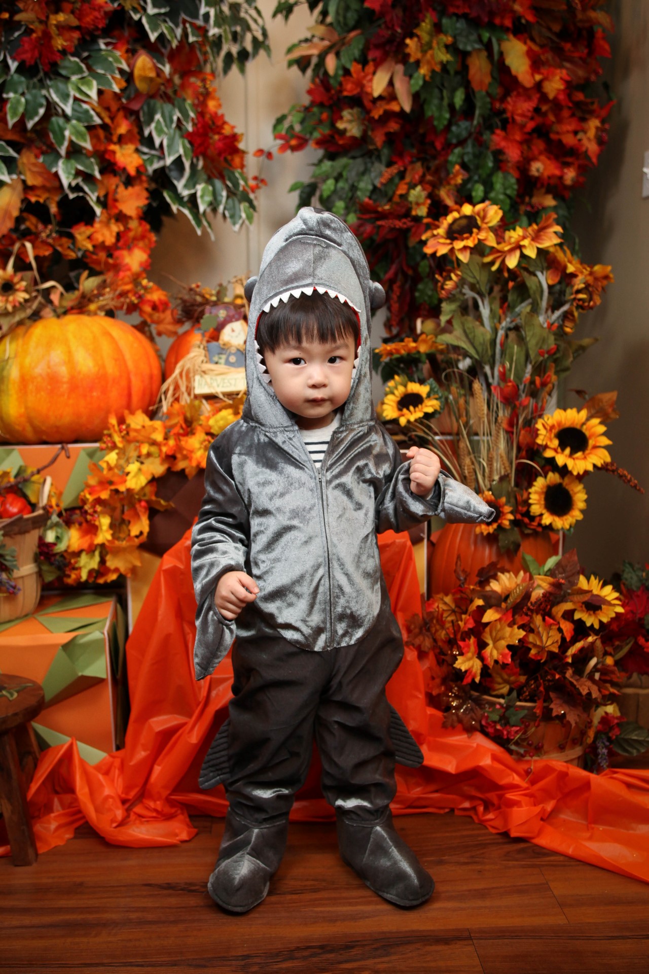 IMG_1498 (Custom).jpg