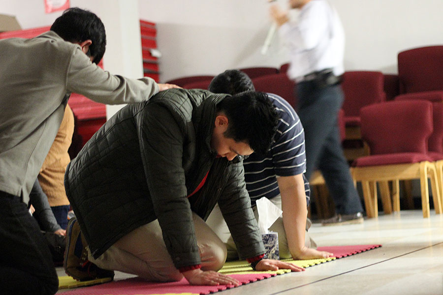 12142013-alpha2 (4).jpg