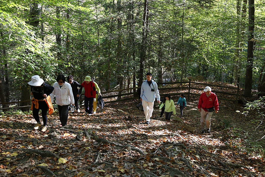 10172015-hiking (8).jpg