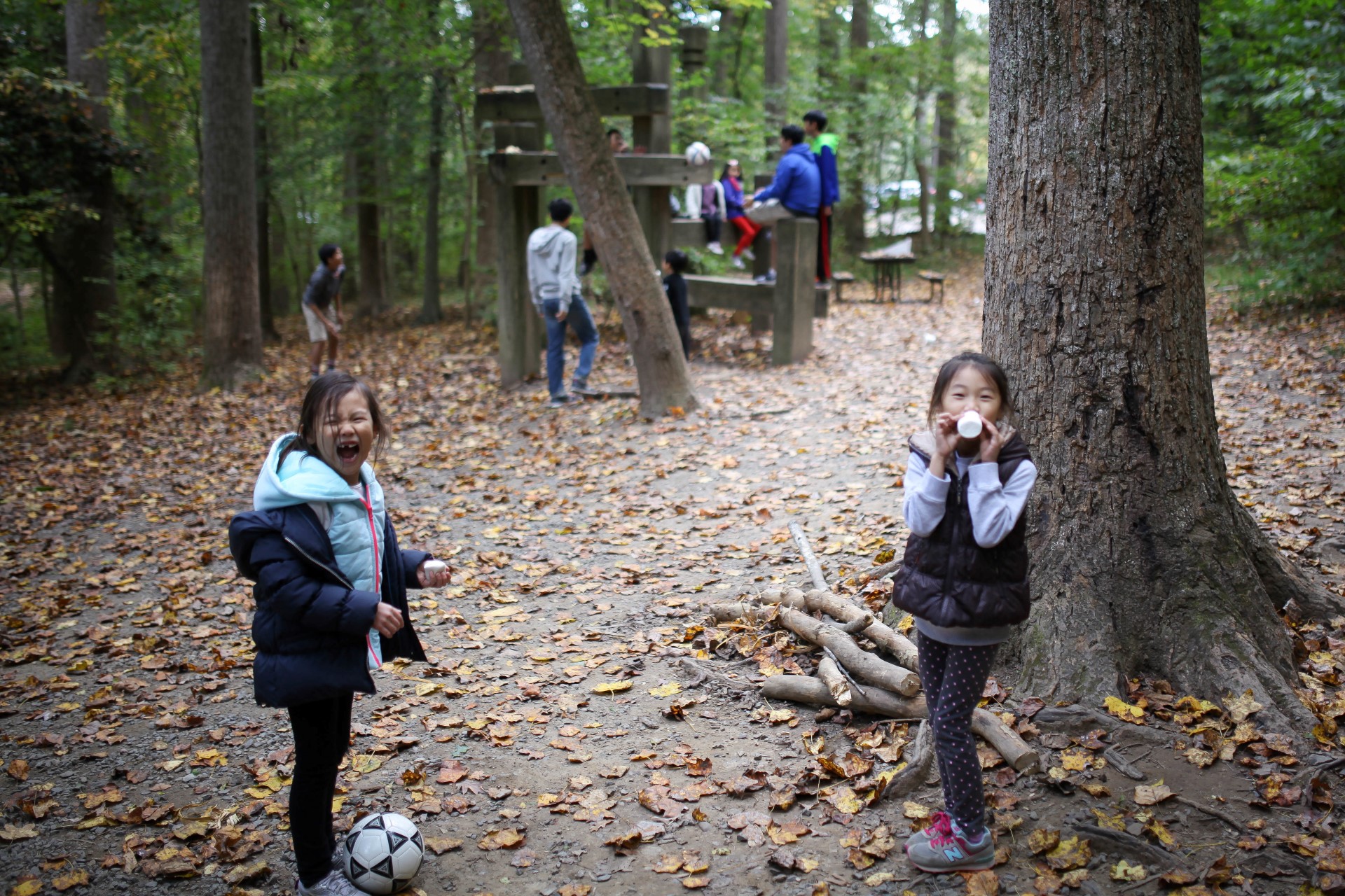 IMG_1126 (Custom).jpg