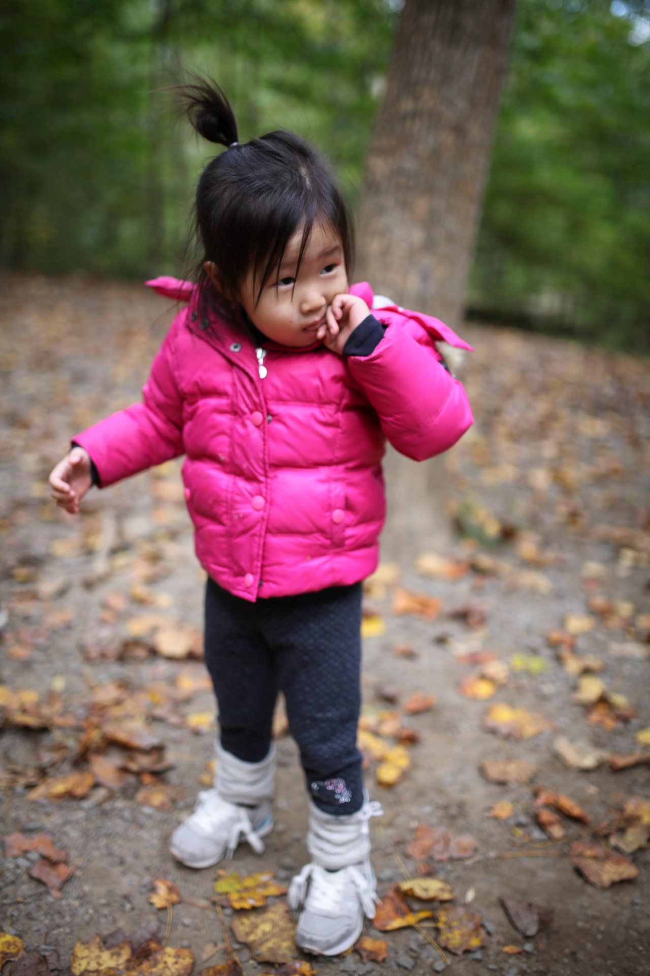 IMG_1130 (Custom).jpg