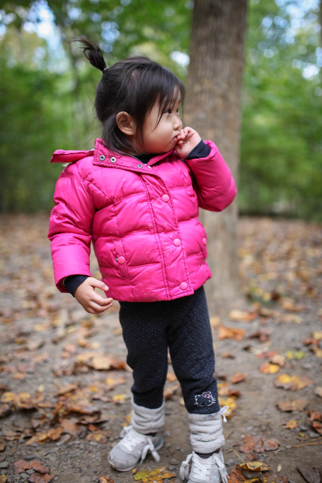 IMG_1131 (Custom).jpg