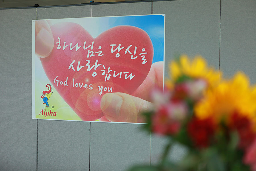 06062015-alpha (14).jpg