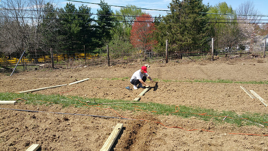 04052016-ncfc-farm (4).jpg