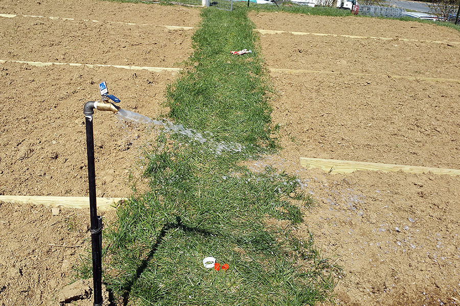 04052016-ncfc-farm (7).jpg