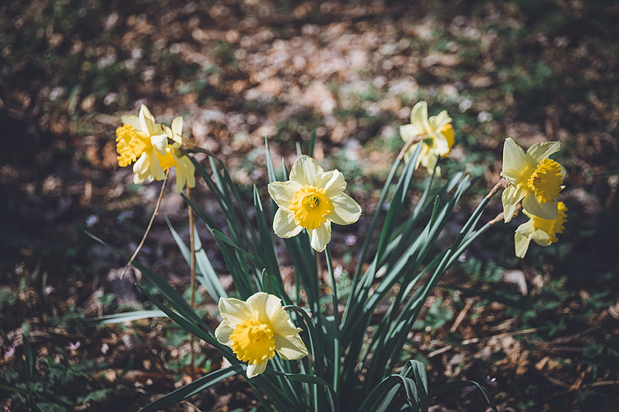 04142018-hiking (32).jpg