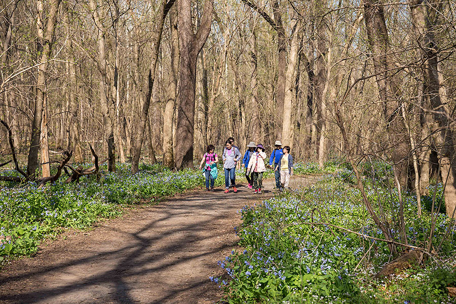 04142018-hiking (37).jpg