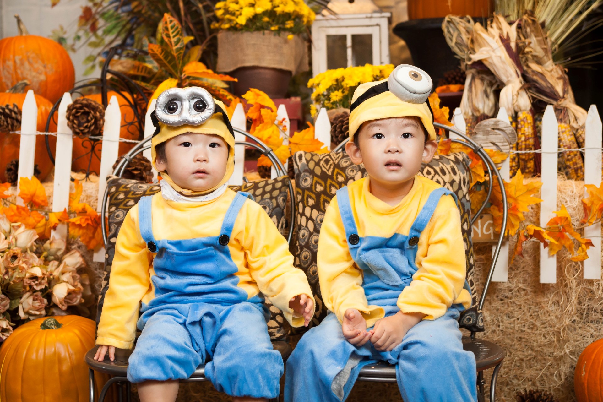 IMG_1462 (Custom).jpg