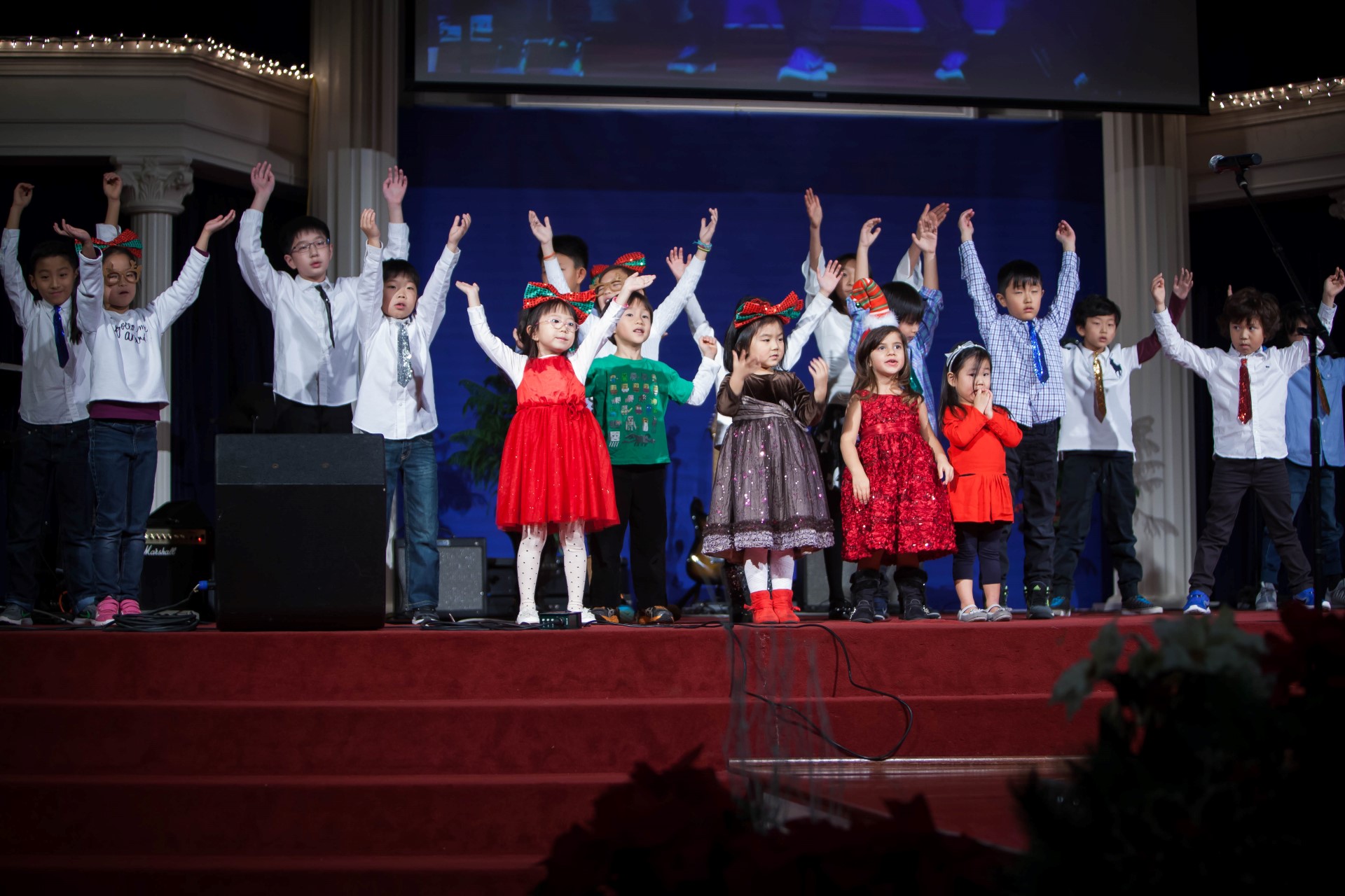 IMG_3317 (Custom).jpg