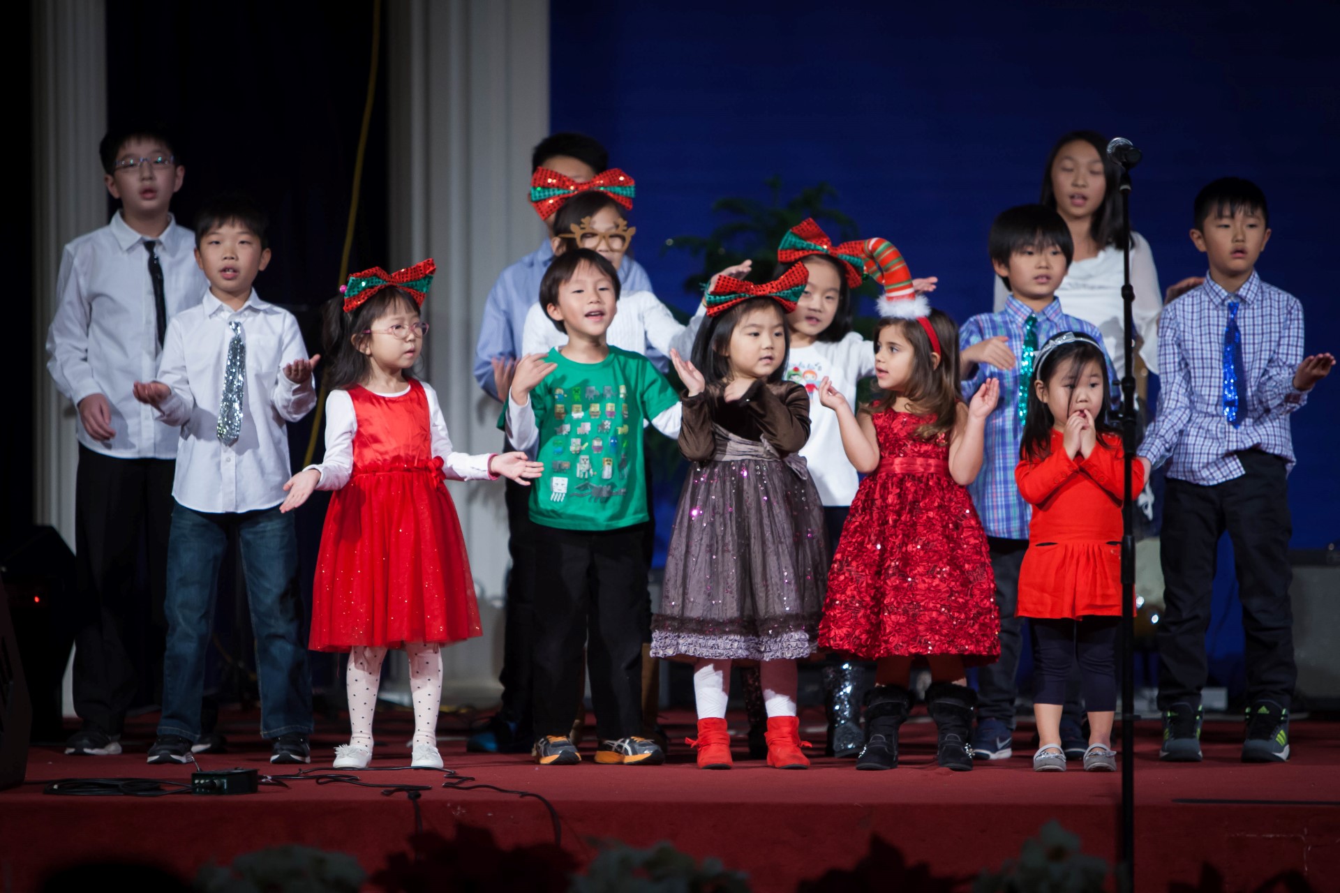 IMG_3303 (Custom).jpg