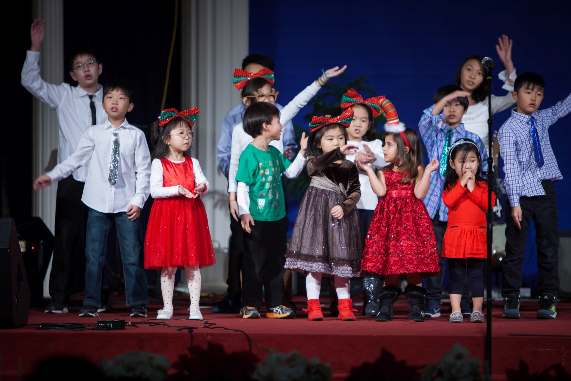 IMG_3304 (Custom).jpg