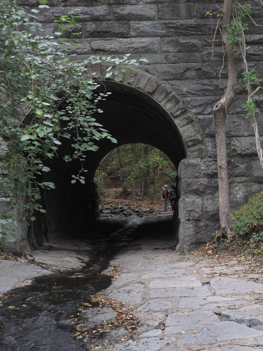 10172015-hiking2 (36).jpg