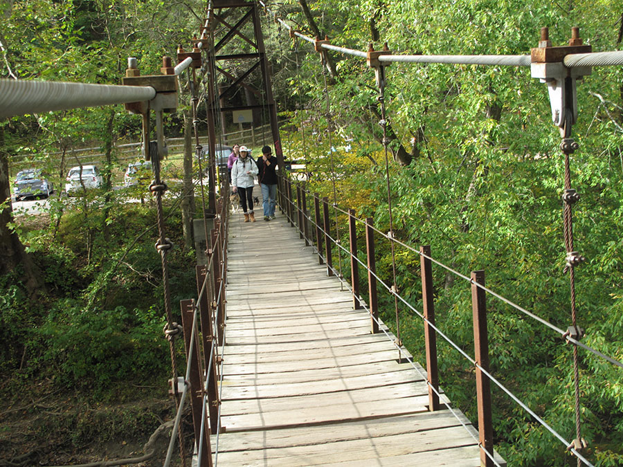 10172015-hiking2 (20).jpg