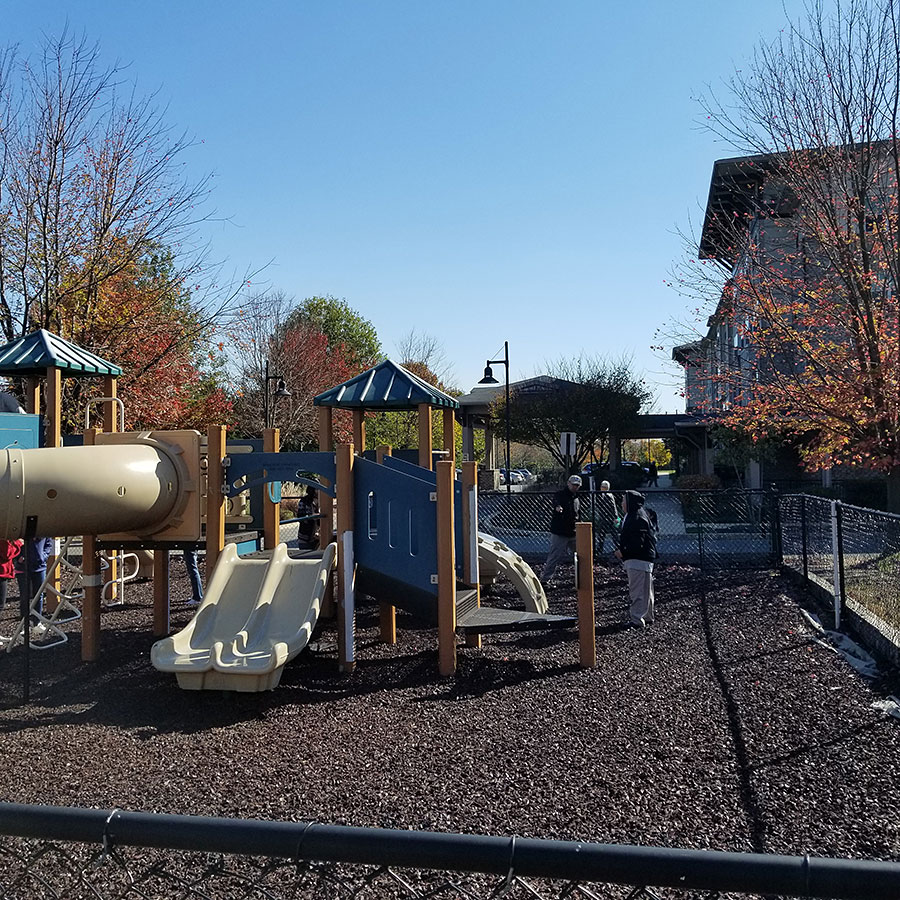 11032019-harmony (18).jpg