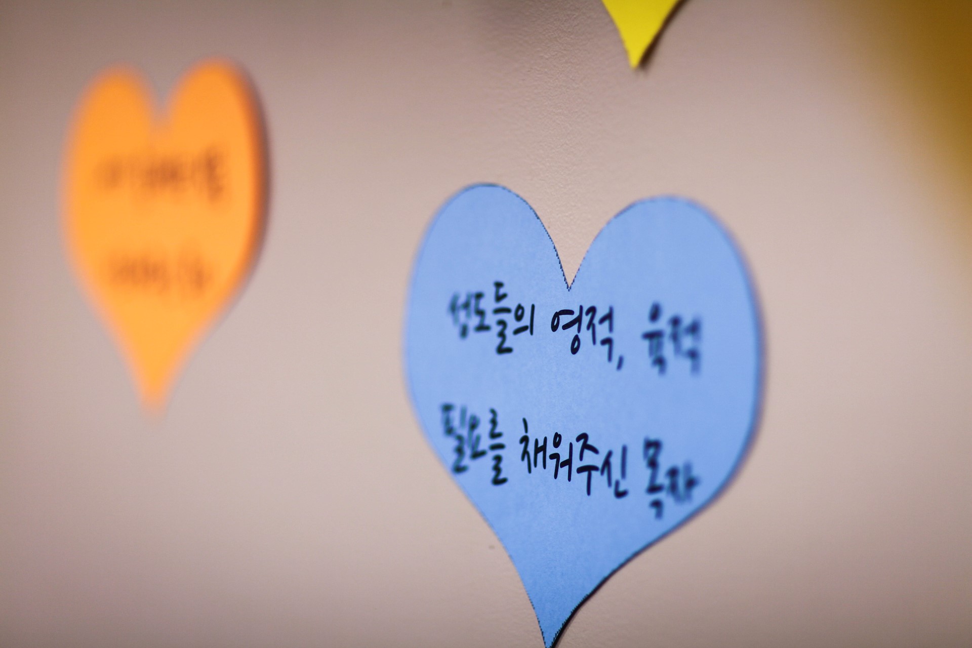 IMG_4789 (Custom).jpg