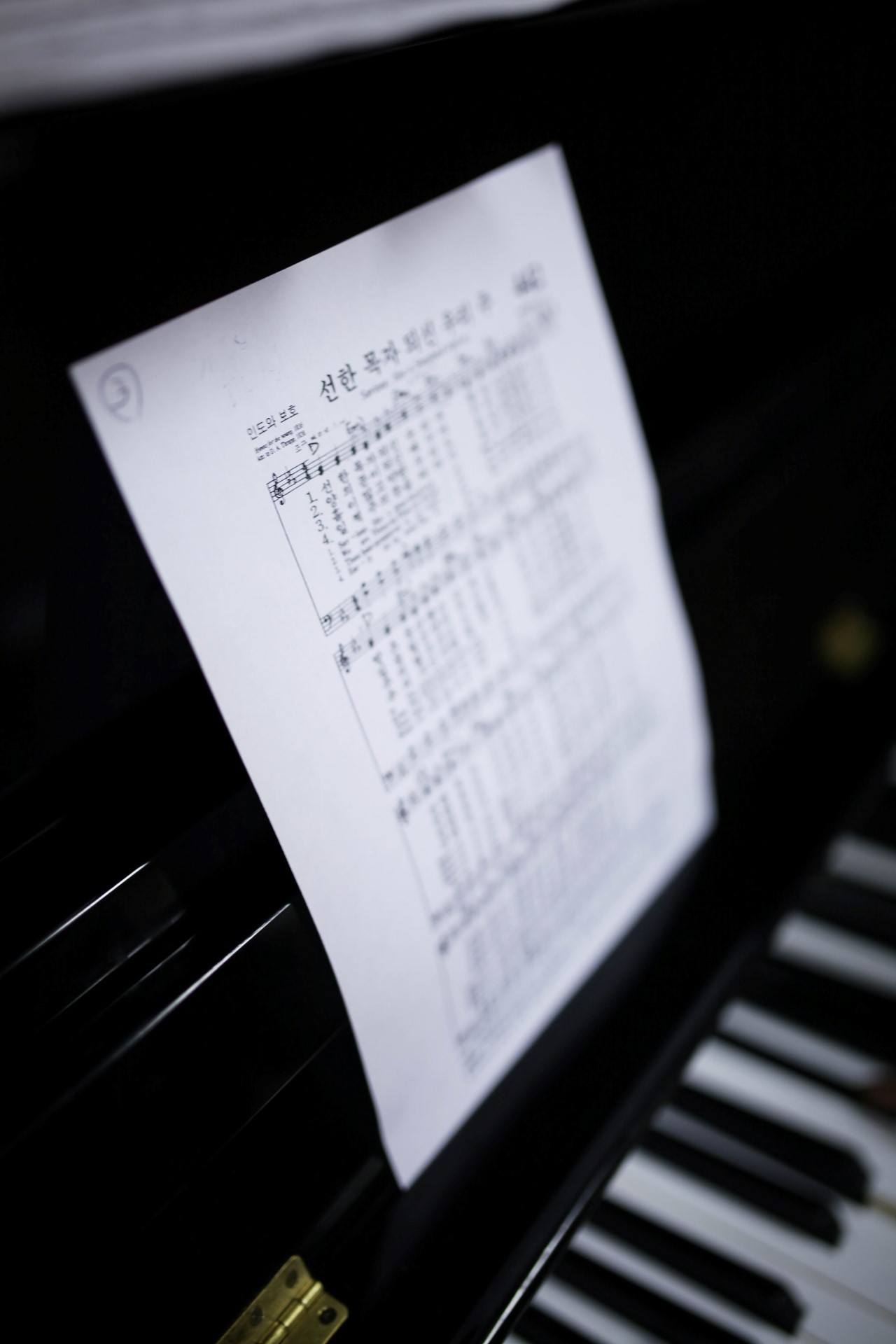 IMG_4699 (Custom).jpg