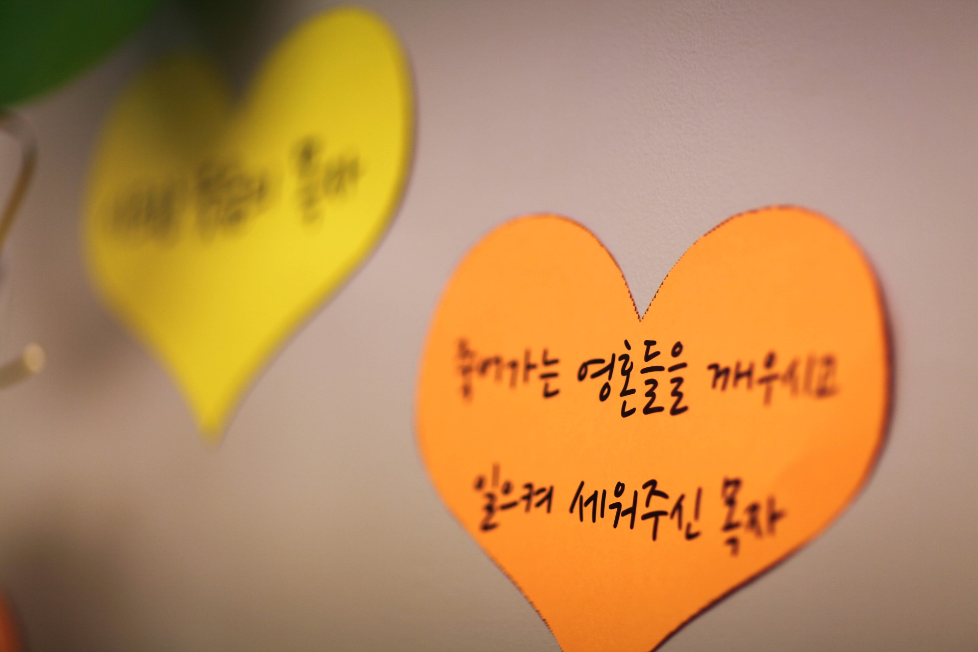 IMG_4790 (Custom).jpg