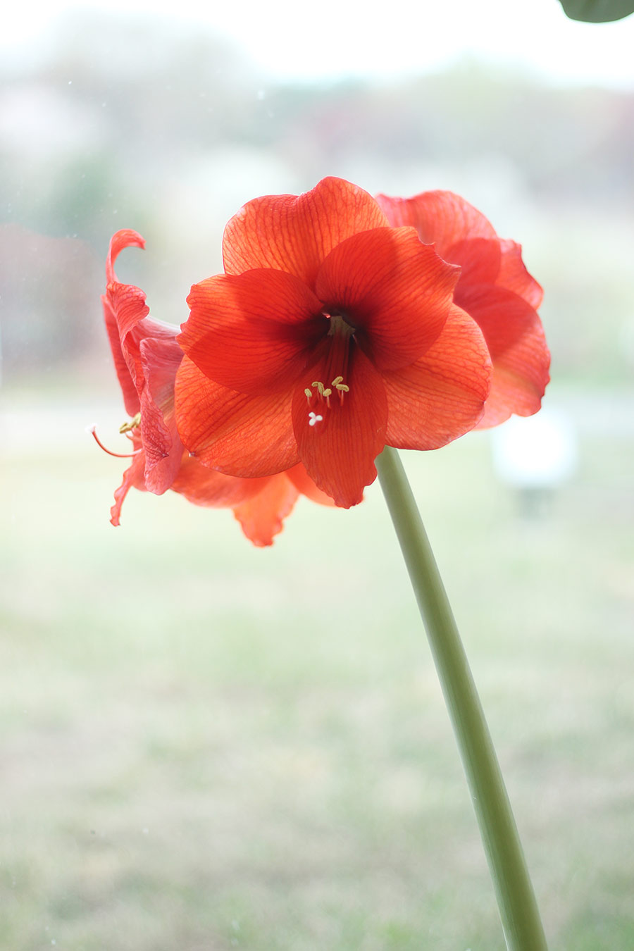 03272016-wedding1 (36).jpg