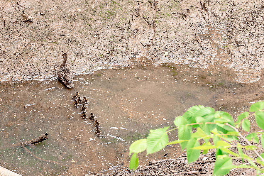 05182019-hiking (15).jpg