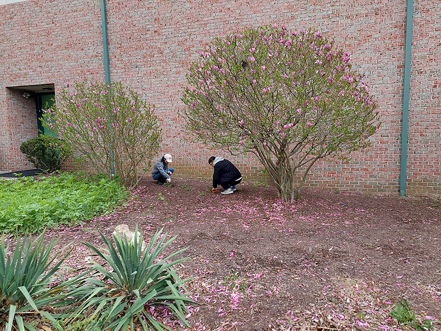 04132024-cleaning (40).jpg