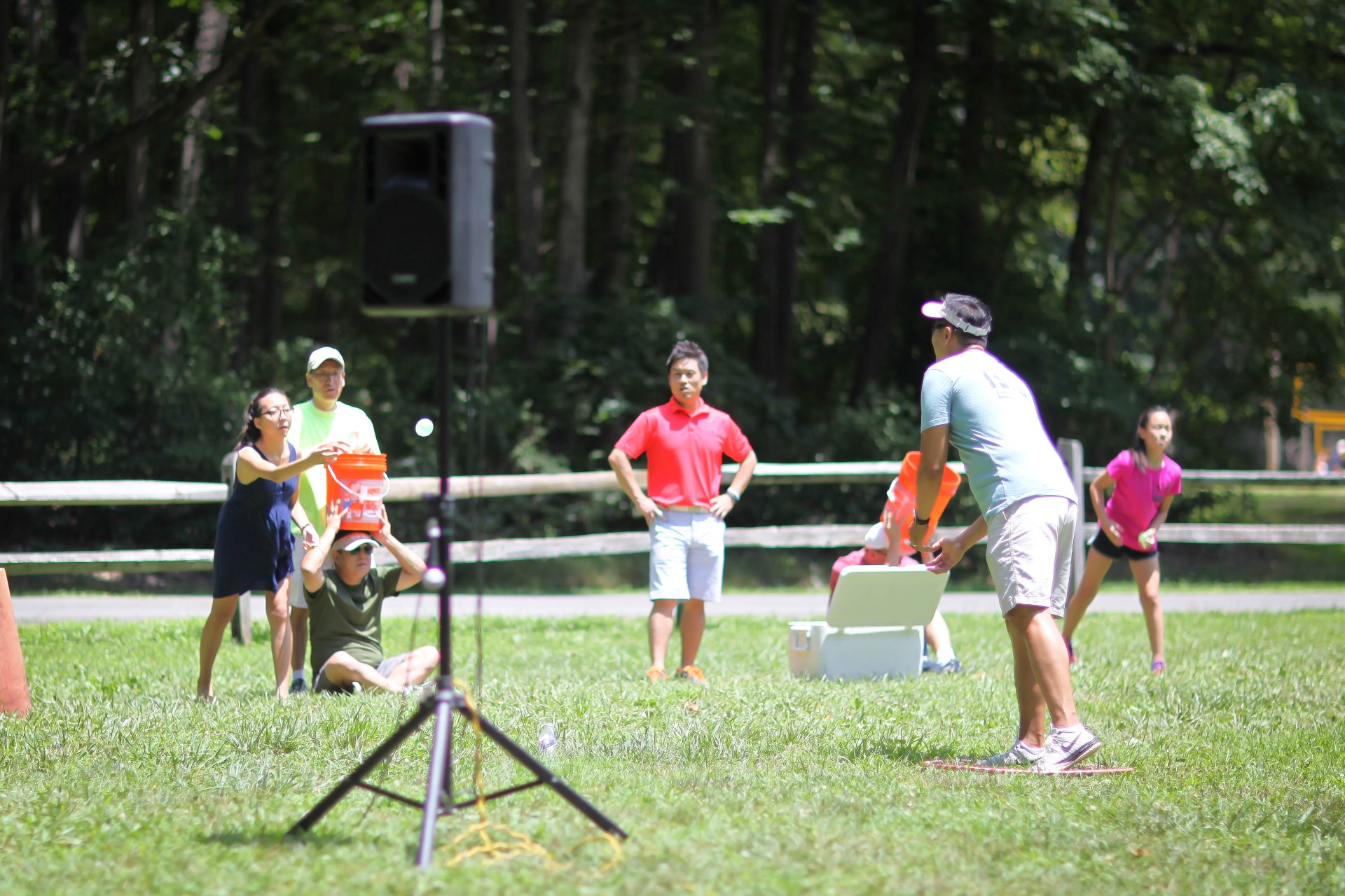 IMG_0203 (Custom).jpg