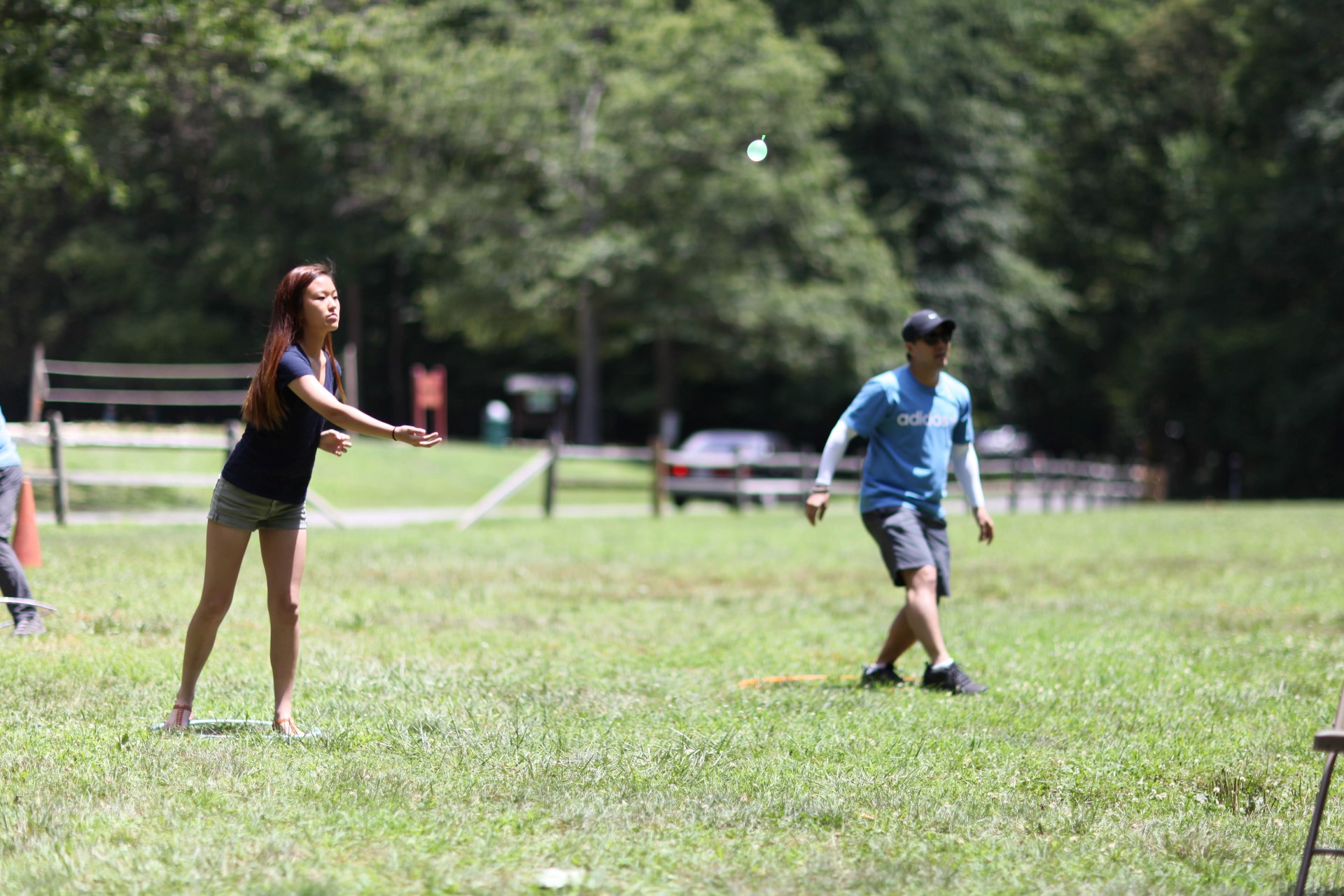 IMG_0201 (Custom).jpg