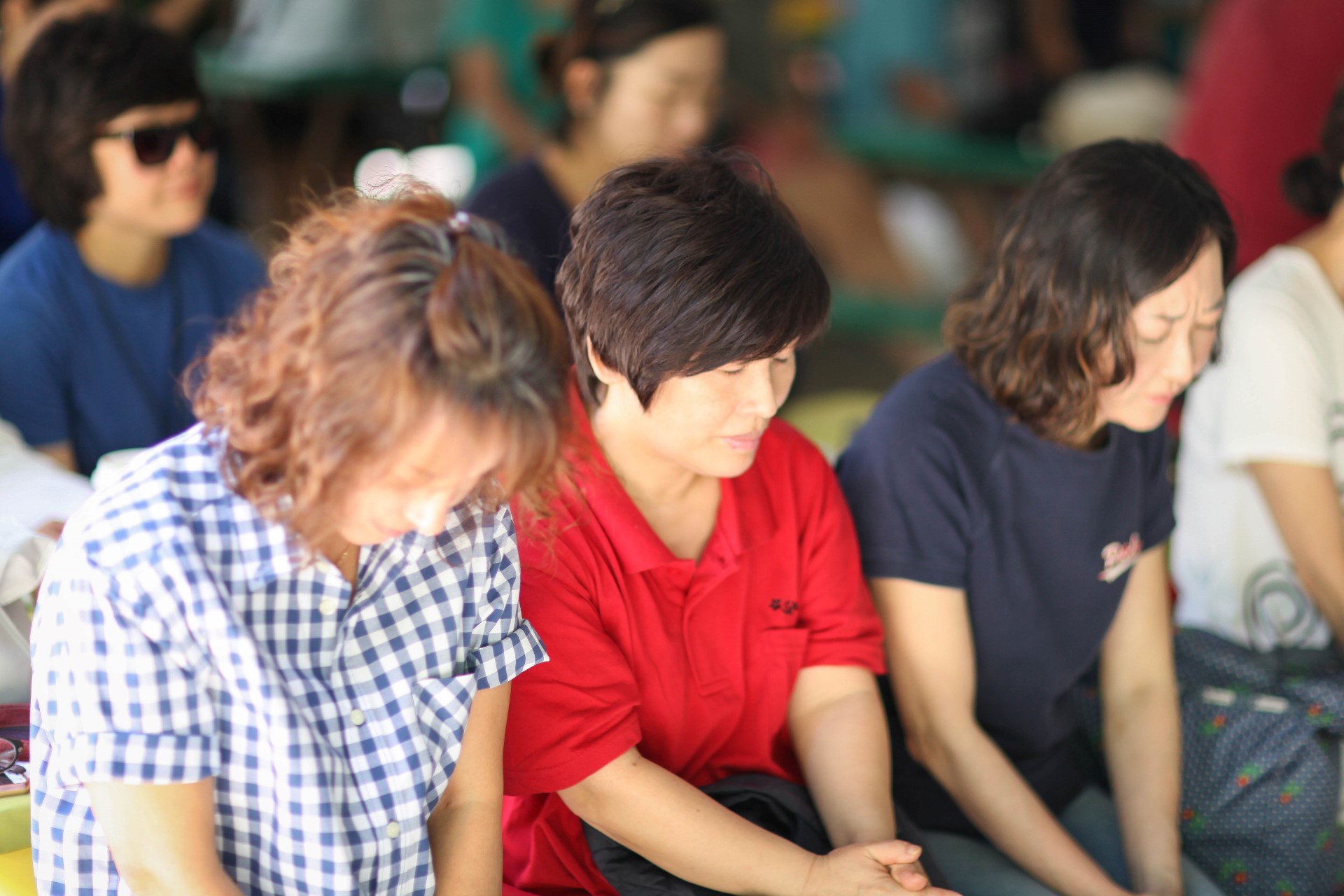 IMG_0087 (Custom).jpg