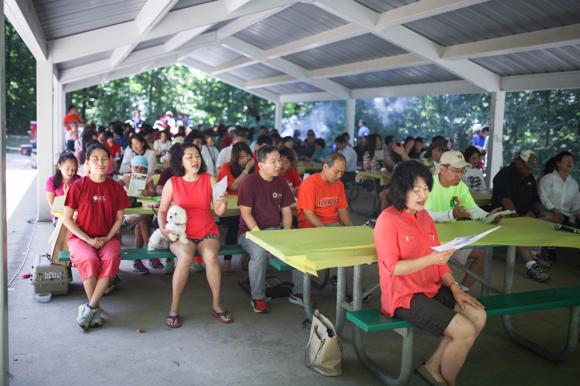 IMG_0015 (Custom).jpg