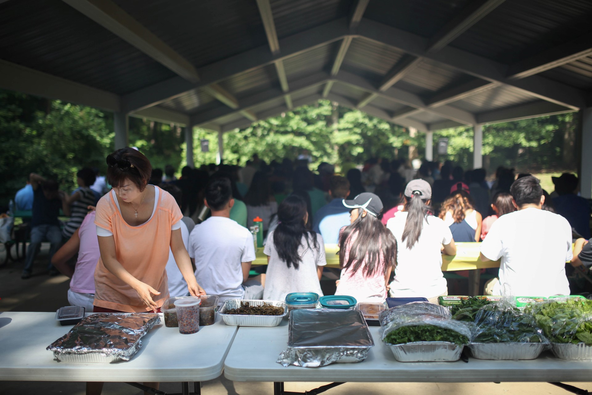 IMG_0004 (Custom).jpg