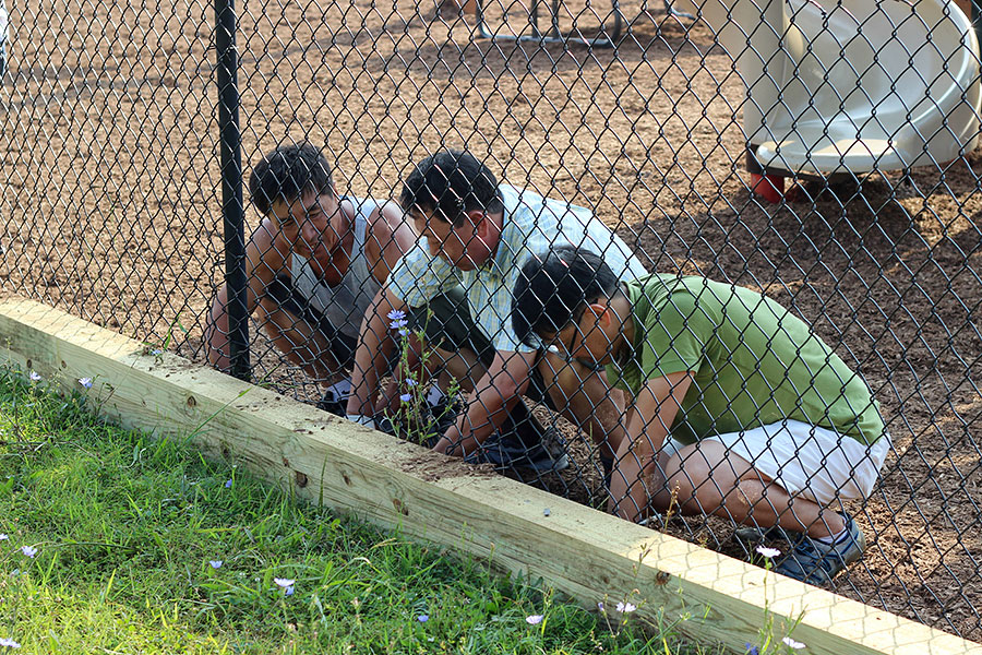 08312013-playground (29).jpg