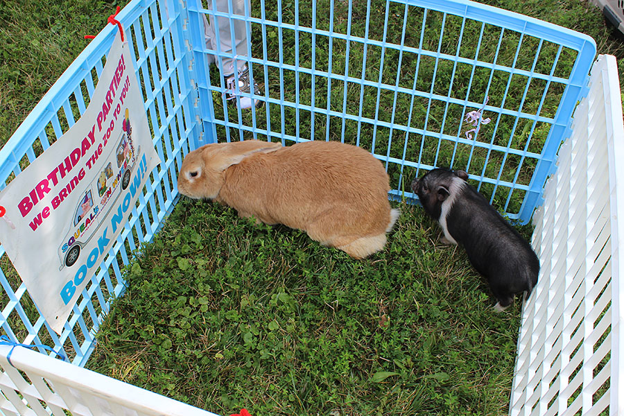 07302014-vbs (22).jpg