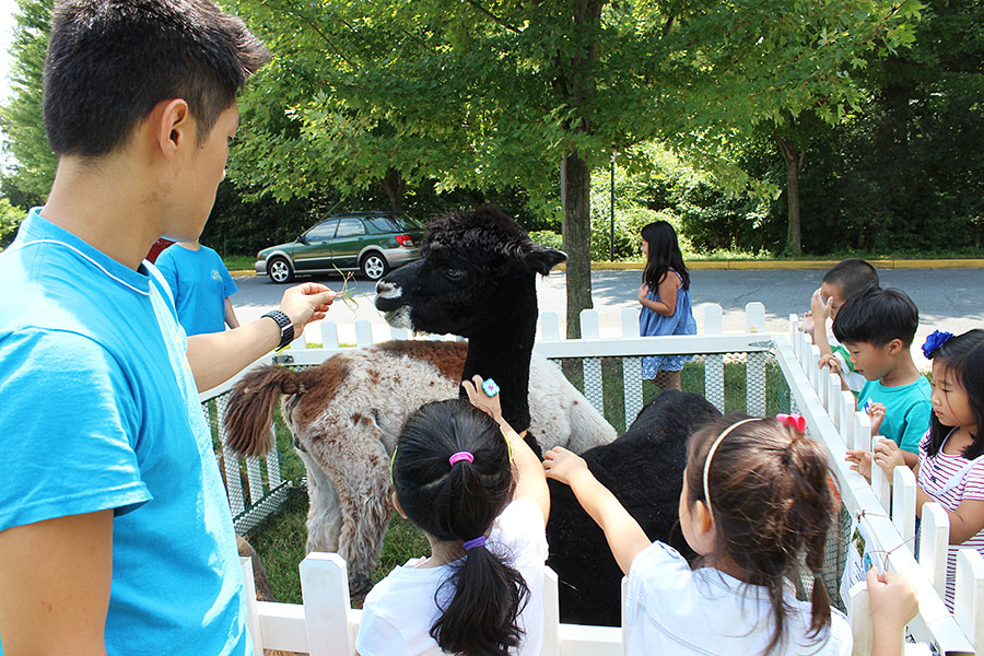 07302014-vbs (38).jpg