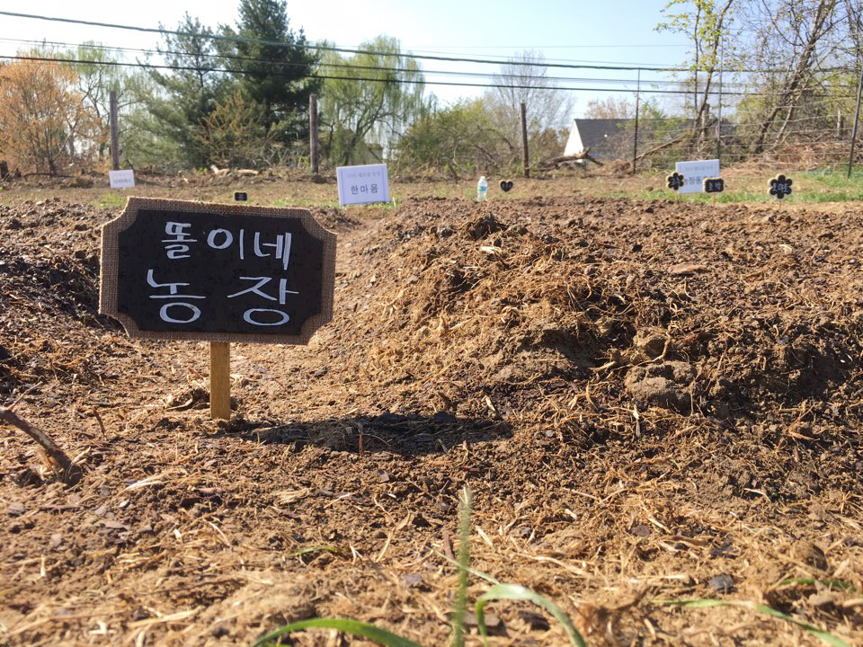 04162016-farm (6).jpeg