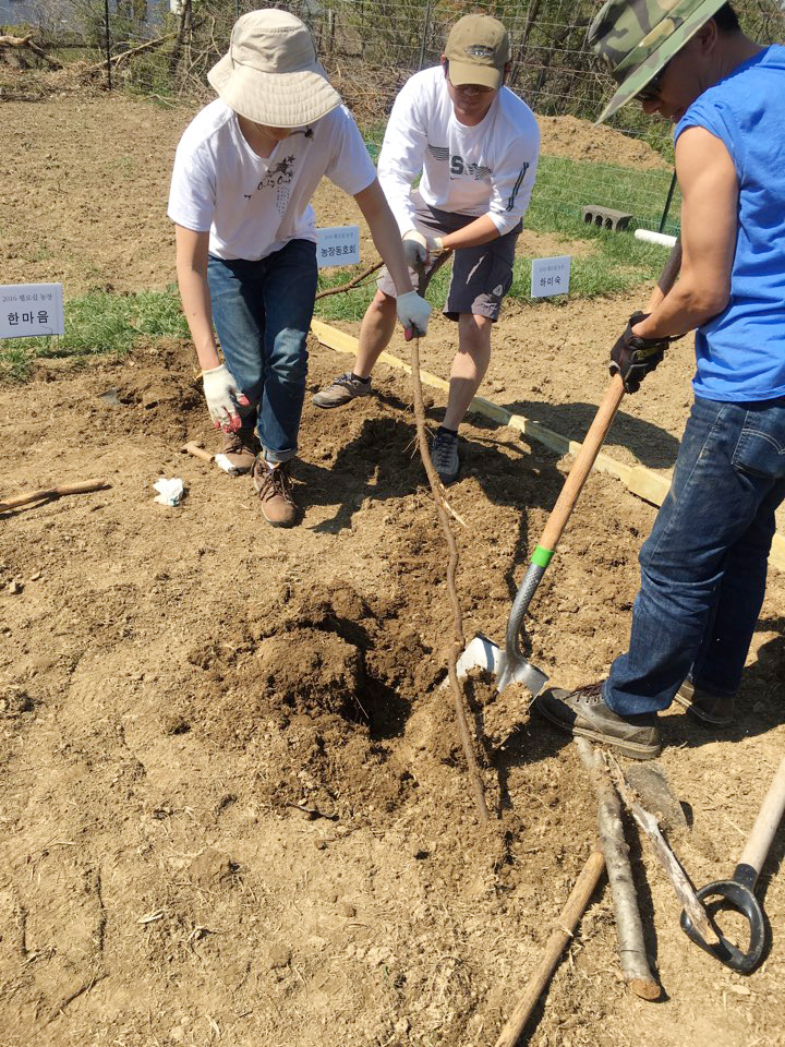 04162016-farm (9).jpeg