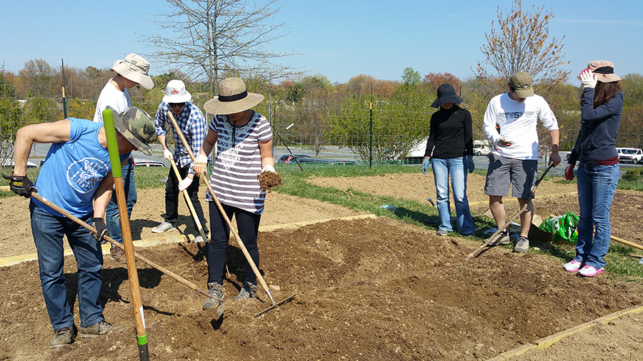 04162016-farm (12).jpg