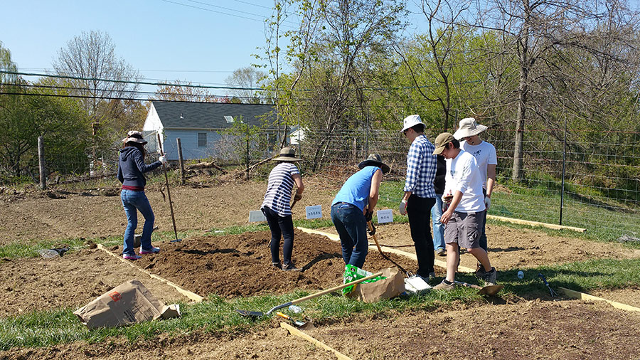 04162016-farm (10).jpg