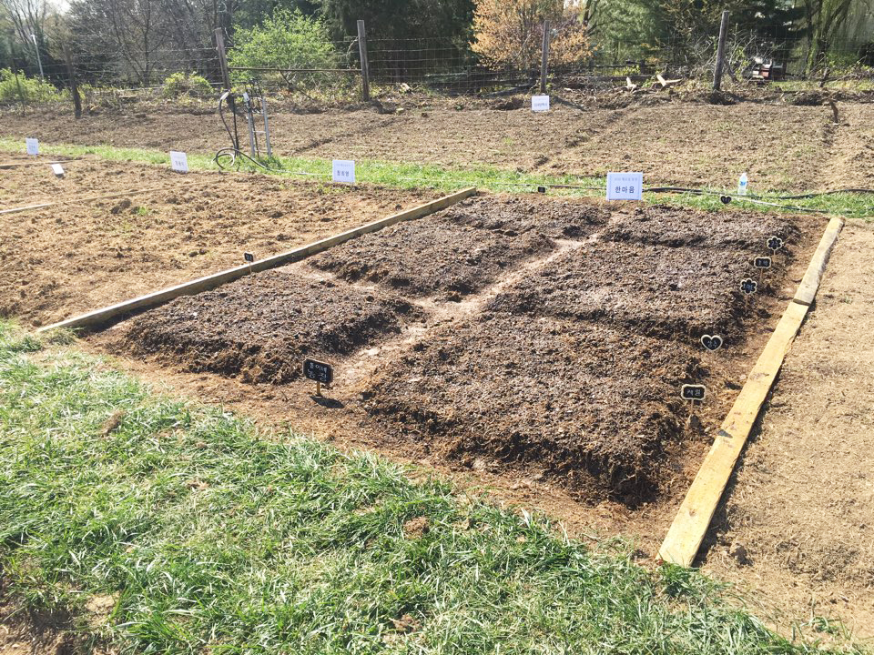 04162016-farm (7).jpeg