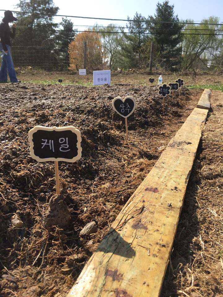 04162016-farm (8).jpeg