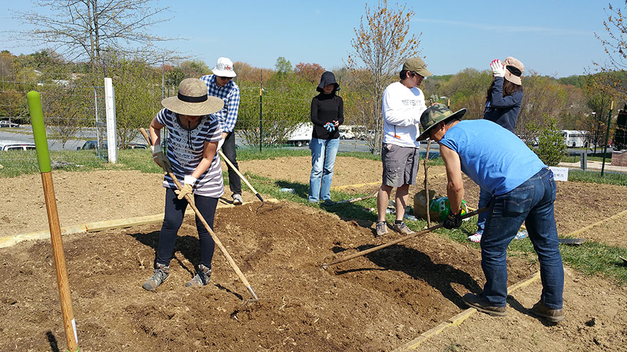 04162016-farm (11).jpg