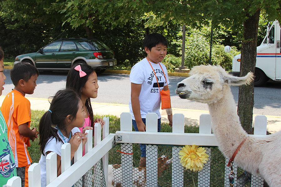 07302014-vbs2 (23).jpg