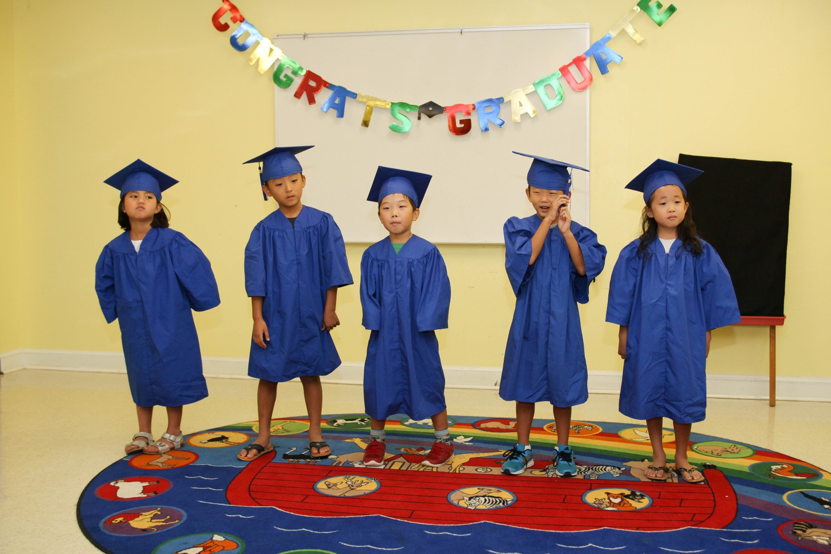 IMG_1767 (Large).jpg