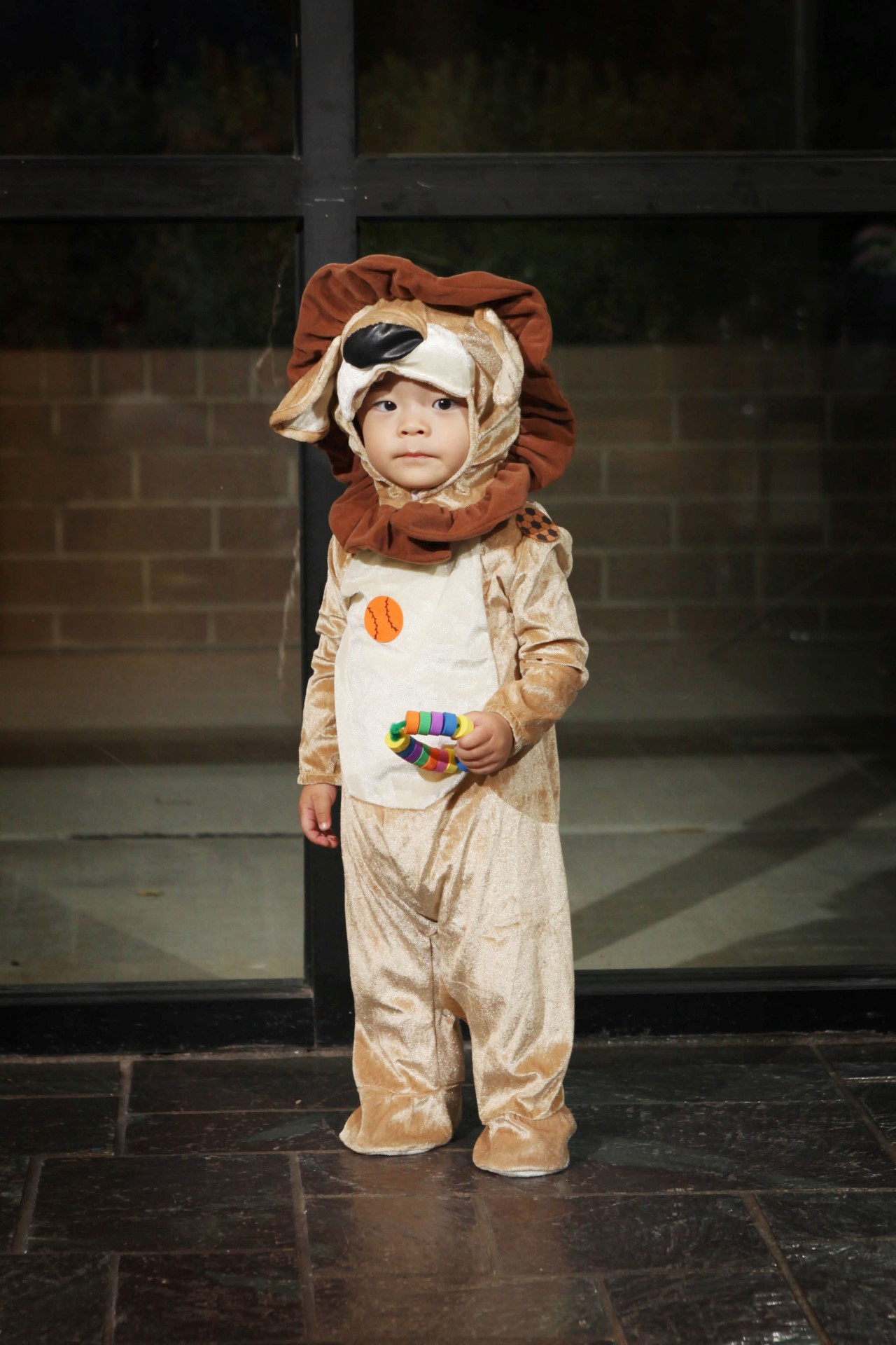 IMG_3090 (Custom).jpg